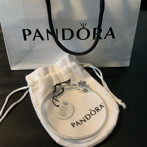 Pandora limited edition mesh bangle
